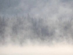 morning fog on lake Stock Footage
