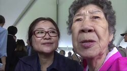 Georgia City Dedicates 'Comfort Women' Memorial News Clip