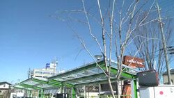 VOICED : Vivir en Ciudad Toyota News Clip