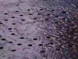 Rainwater drains into a manhole cover on a New York City street. Stock Footage