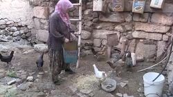 Tending the Chickens, Guzelyurt, Turkey Stock Footage