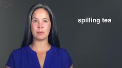 SPILLING TEA - AMERICAN SLANG Instructional Video