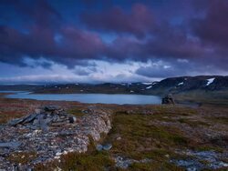 Sparse Landscape Stock Footage