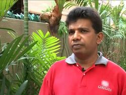 Southeast Asia''s only termite-sniffing dog News Clip