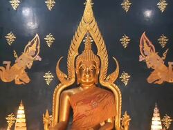 MS ZI Goldan statue of Buddha in monastery / Gaya, Bihar, India Stock Footage