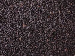 Nigella seeds. Kitchen herbs background Stock Footage