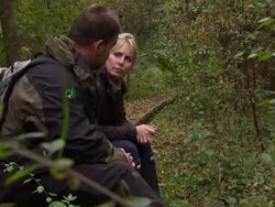 Ash Dieback Fungus Found in Native Woodland Trees News Clip