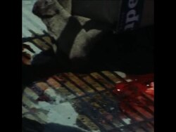 SYND 30 1 76 AFTERMATH OF THE BENDIX ELECTRICAL GOODS FACTORY ATTACK IN BUENOS AIRES News Clip