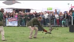 VOICED : Guillermo despues del bebe News Clip