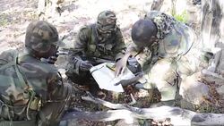 CLEAN : FILE: Ugandan army says LRA neutralised begins withdrawal News Clip