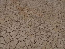  CU Cracks on arid desert ground / Mojave, California, USA Stock Footage