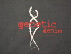 Genetic Denim's One-Year Anniversary and Launch of Their Re-Vamped Collection Red Carpet Stock Footage