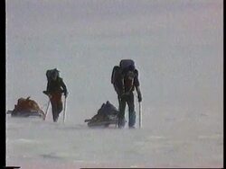 Antartica - Expedition In The Antartic News Clip