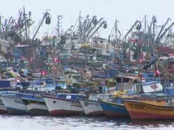 MS Longline float with tattered flag / Guanacaste, Costa Rica Stock Footage
