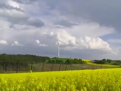 Rape Field in Front of a Wind Turbine (Time Lapse) Stock Footage