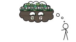 Why Poor Places Are More Diverse Instructional Video