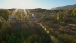 Vegetation grows near the dry creekbed of Terlingua Creek in Big Bend National Park, Texas. Stock Footage