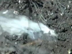 Aftermath of pro Russian protests in Mariupol News Clip