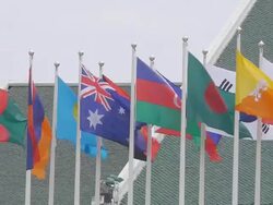 International flags Stock Footage