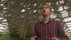 A giant electric hive reveals the secret lives of bees News Clip