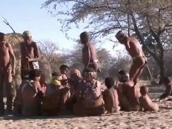 Ju hoansi San Bushmen of Nyae Nyae, dancing, Namibia Stock Footage