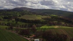 VOICED : Climate change battle heats up for Australian winemakers News Clip