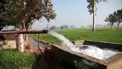 watering in the green wheat field during winter season Stock Footage