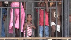 CLEAN : Superhighway threatens Nigeria's biggest tropical rainforest News Clip