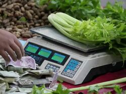 LS Electronic scale in food market/xian,shaanxi,China Stock Footage