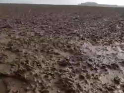 SHADOWS OF WAR: Unexploded World War One Shell Stock Footage