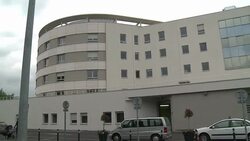 VOICED : Victima de coronavirus en Francia News Clip