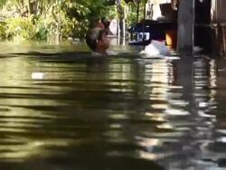 Flooding Continues in Parts of Bangkok News Clip