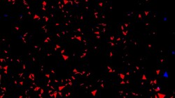 series transcendental fields : from among, dark (TRANSITION) Stock Footage