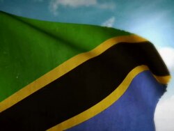 Waving Flag - Tanzania Stock Footage
