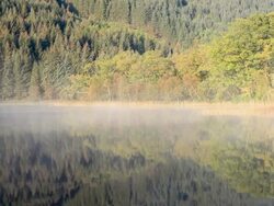 Autumn color in Loch Chon, Trossachs national park, Scotland. Stock Footage