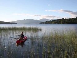 Man paddles kayak through marsh, sunrise Stock Footage