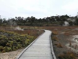 MS Shot of boardwalk passing through field of volcanic lava rock and grass with gases rising in distance at Volcanoes National Park / Volcano, Hawall, Big Island, United States Stock Footage