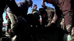 Hundreds of volunteers spent the weekend in Mobile, Ala., helping kick off the construction of a planned 100-mile oyster reef aimed at restoring damage from years of overfishing, coastal erosion and development. News Clip