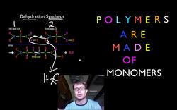 Biological Molecules Instructional Video