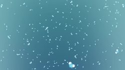 Sunburn, Sweat and the Science of Summer! Instructional Video