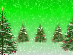 Chrismas tree #12 HD green Stock Footage
