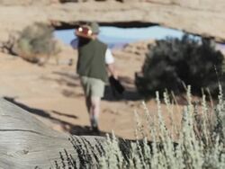 Wildlife Photographer Stock Footage