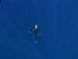 Cameraman ascending, exit frame, Toku, Tonga Stock Footage