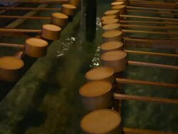 ChÅzubachi at Meiji Shrine Stock Footage