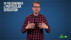 How Smells Trigger Memories Instructional Video