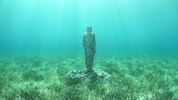 TED: An underwater art museum, teeming with life | Jason deCaires Taylor Instructional Video
