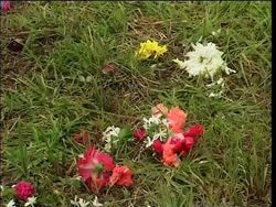 Acehnese visit tsunami mass graves on anniversary News Clip