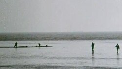 1969 MONTAGE Fishermen trapping worms to use as bait along the beach on Pegwell Bay / Kent, England Stock Footage