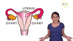 What is Menstruation? Instructional Video