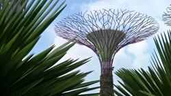 ++NEW 1000 GMT++STUNNING HIGH TECH GARDEN TO OPEN News Clip